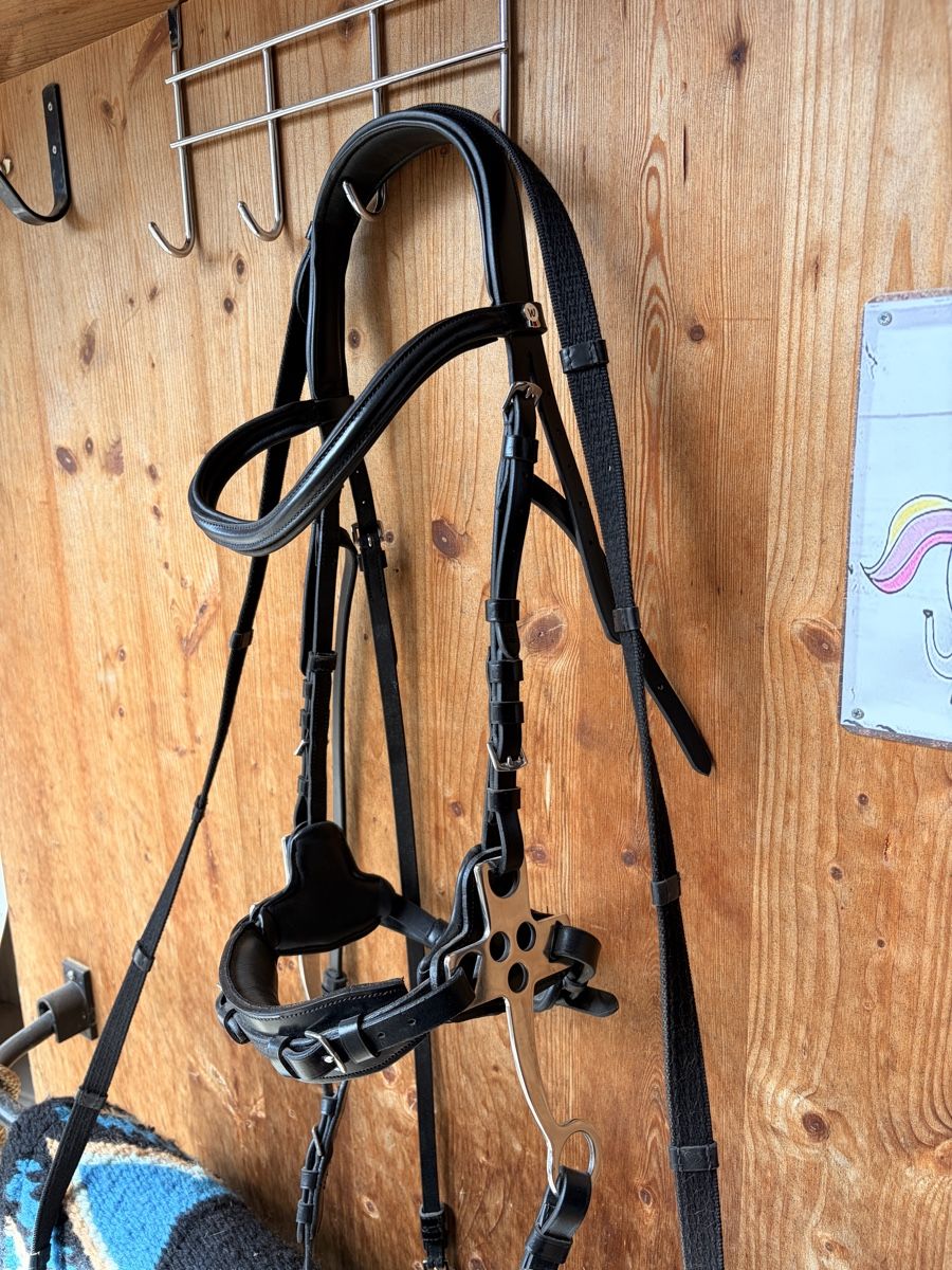 Zaumzeug & Halfter: Hackamore-Zaumzeug in schwarz, Cob – Neu (gemäss Beschreibung) aus Lützelflüh-Goldb von Cashew8