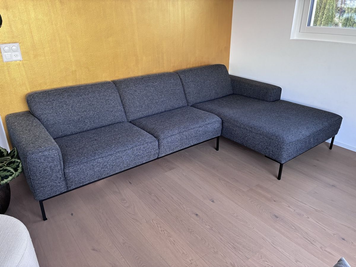 Sofas: Sofa von Pfister – Gebraucht aus Gebenstorf von canola