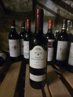 Font de la Figuera, 2017
