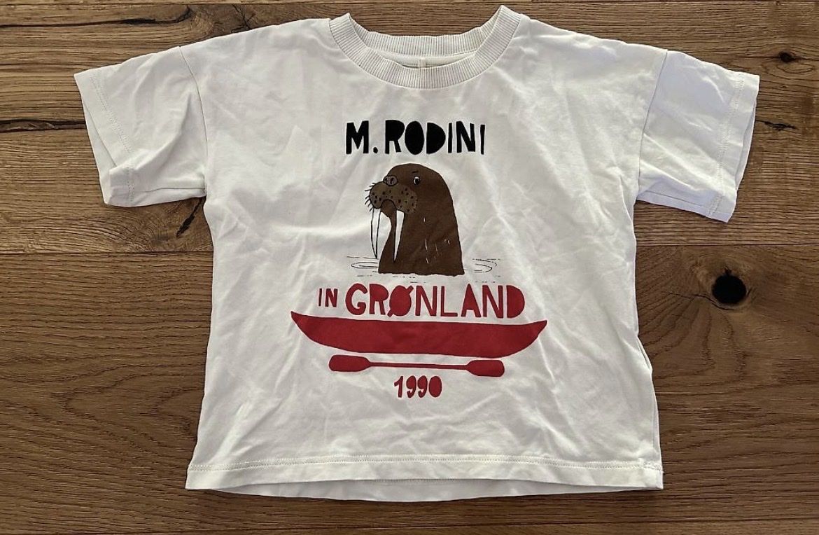 Mini Rodini Camicie, T-shirt & Polo: Mini Rodini T Shirt 92/98 – Usato da Ausserberg venduto da saria00