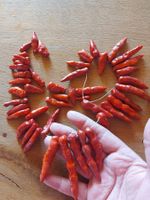 Rote Kette inChili Form, 47 Stück, antik,Verschiedene Grösse