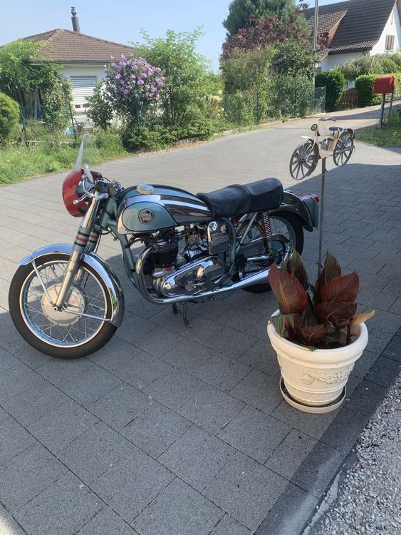 NORTON DOMINATOR 5