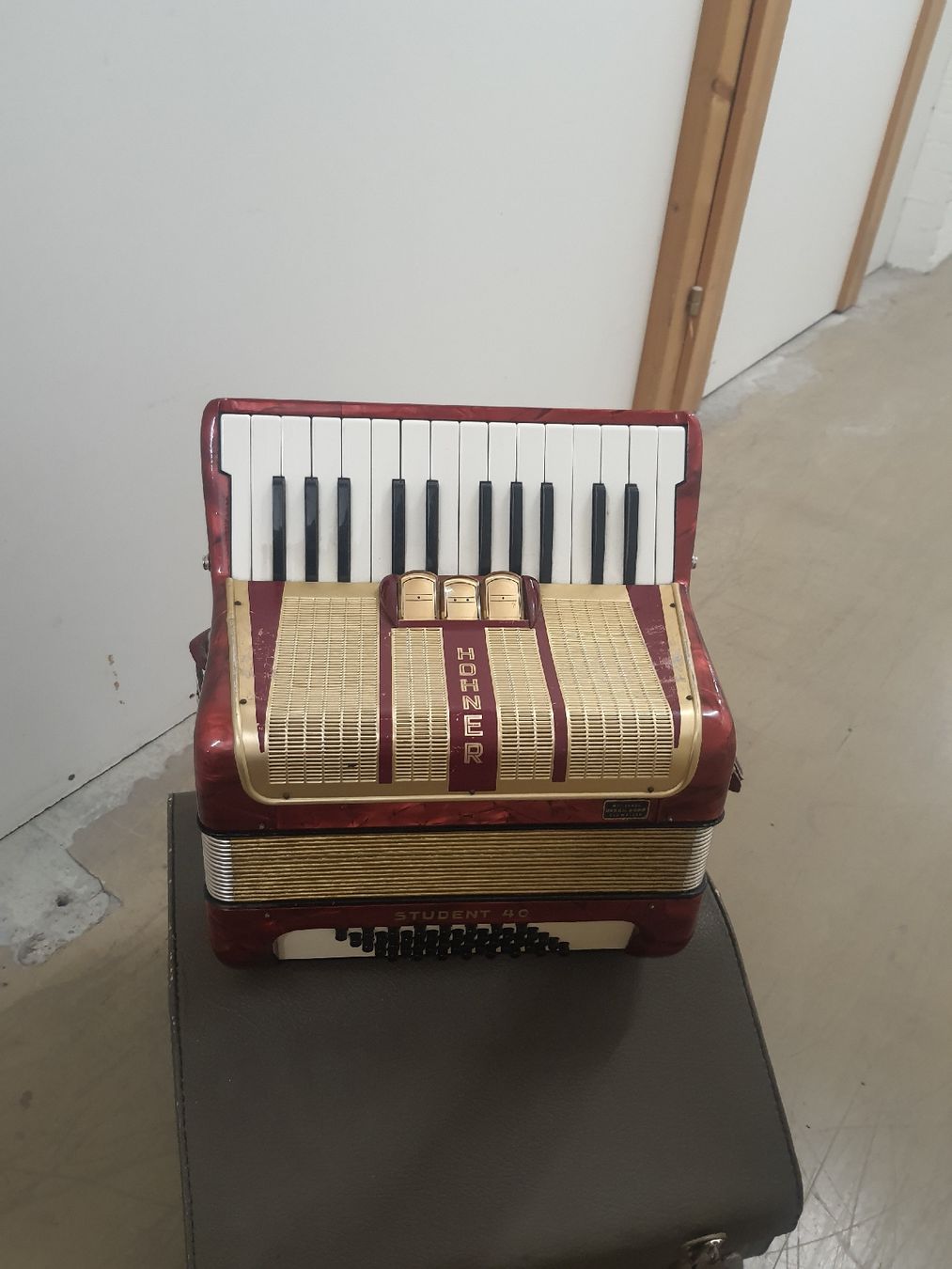 Hohner Strumenti musicali: accordéon hohner à piano  – Usato da Pont-de-la-Morge venduto da Mirabelle0 1