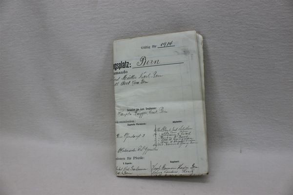 Documenti: Pferde und Wagen Einschatzungsplatz 1914 – Usato da Thun venduto da Amye 6