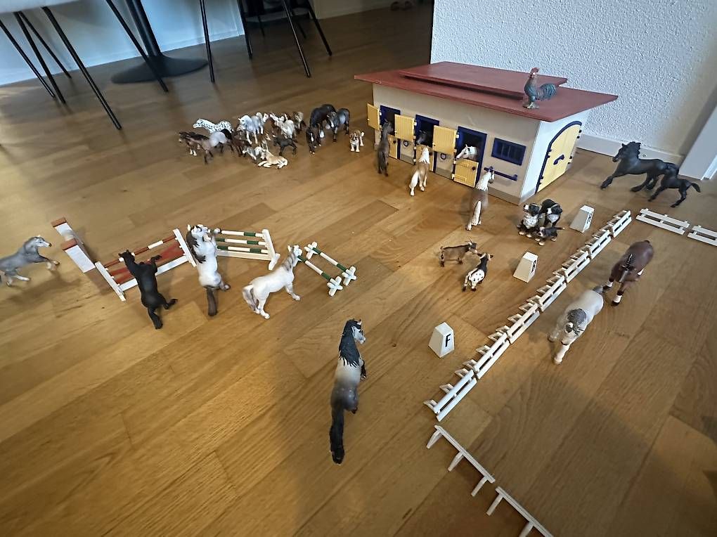 Giocattoli: SCHLEICH - Pferdehof – Usato da Sisseln AG venduto da mar_f279 4