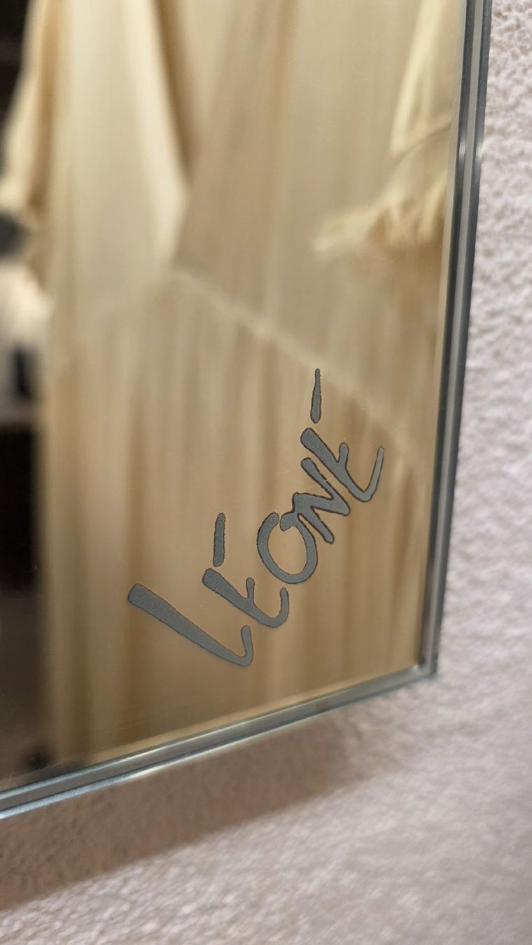 Specchi: Spiegel Leone – Usato da Ehrendingen venduto da leo875 1