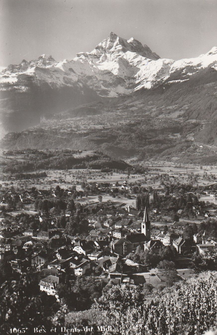 Cartoline postali: AK Bex - gel. 5.10.1953 – Usato da Fribourg venduto da schnalla92