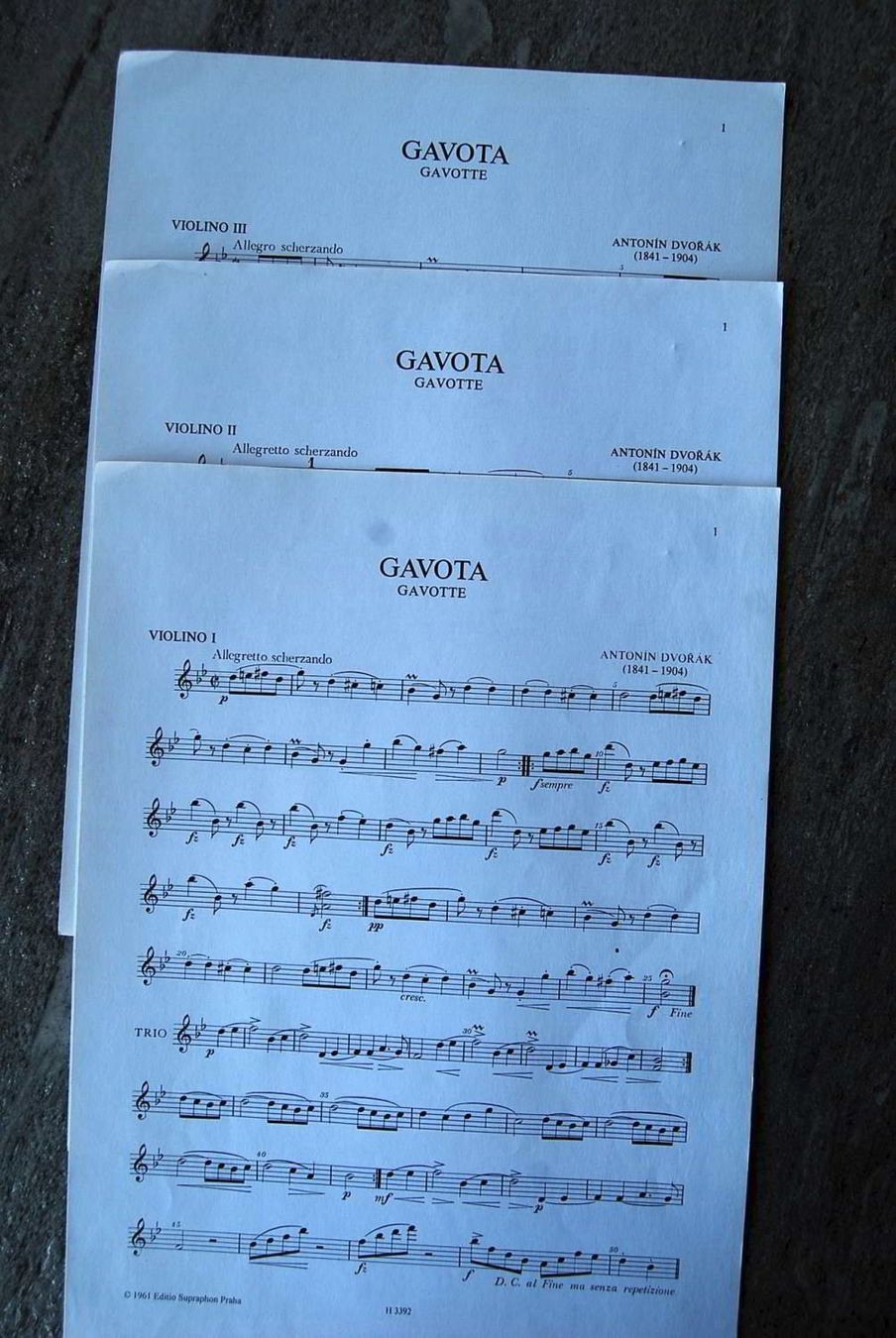 Libri: Dvorak - Drobnosti - Gavota – Usato da Rüfenacht BE venduto da Toro06 2