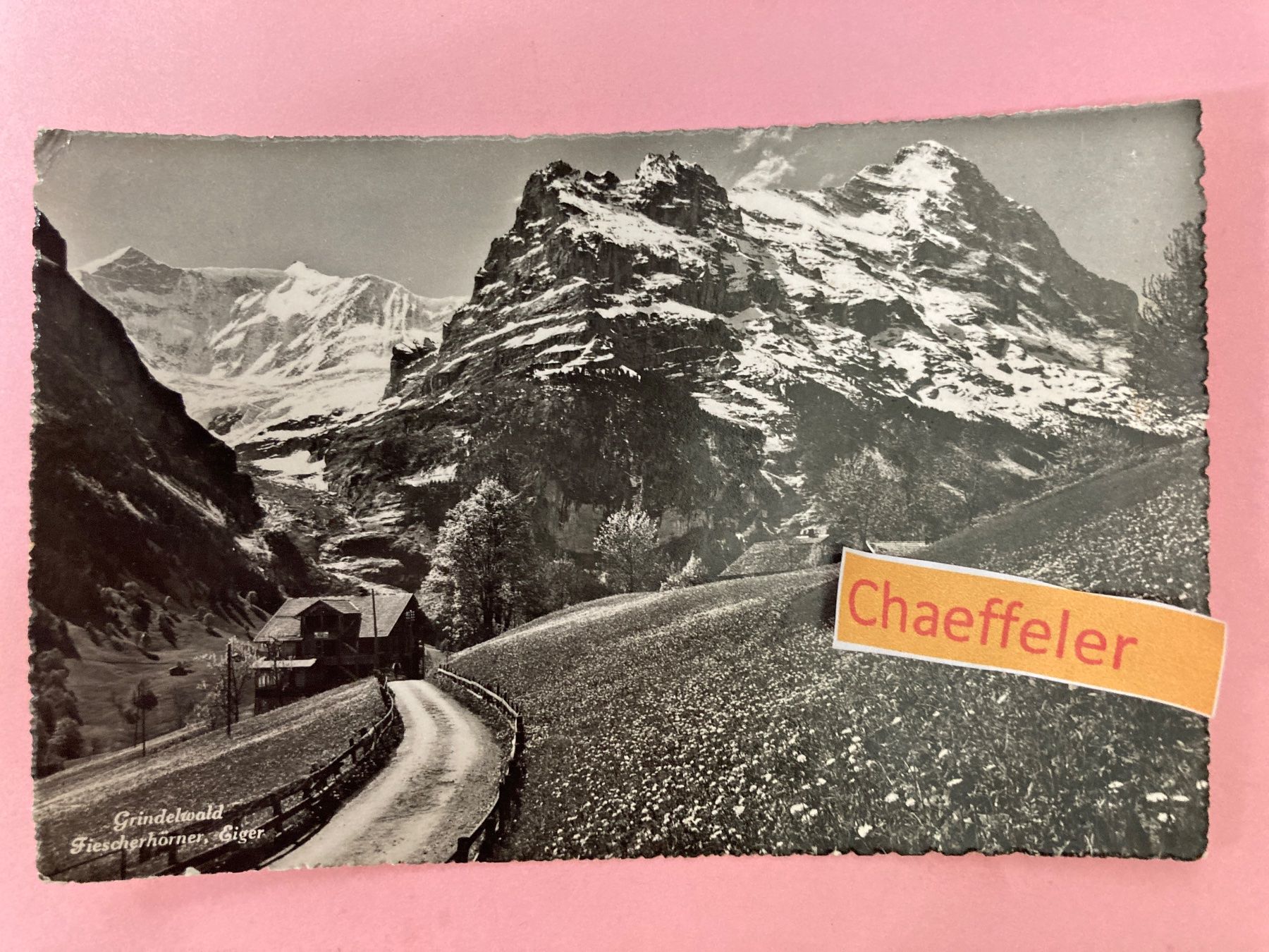 Cartoline postali: 1947 Grindelwald. Fiescherhörner, Eiger – Usato da Zürich venduto da Chaeffeler