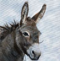 Serviette honkey the donkey (1615) 2Stk.