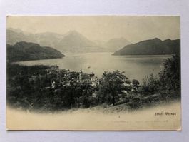 Vitznau - gelaufen 1906