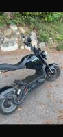 Züri Flizzer, City Max RS Pro