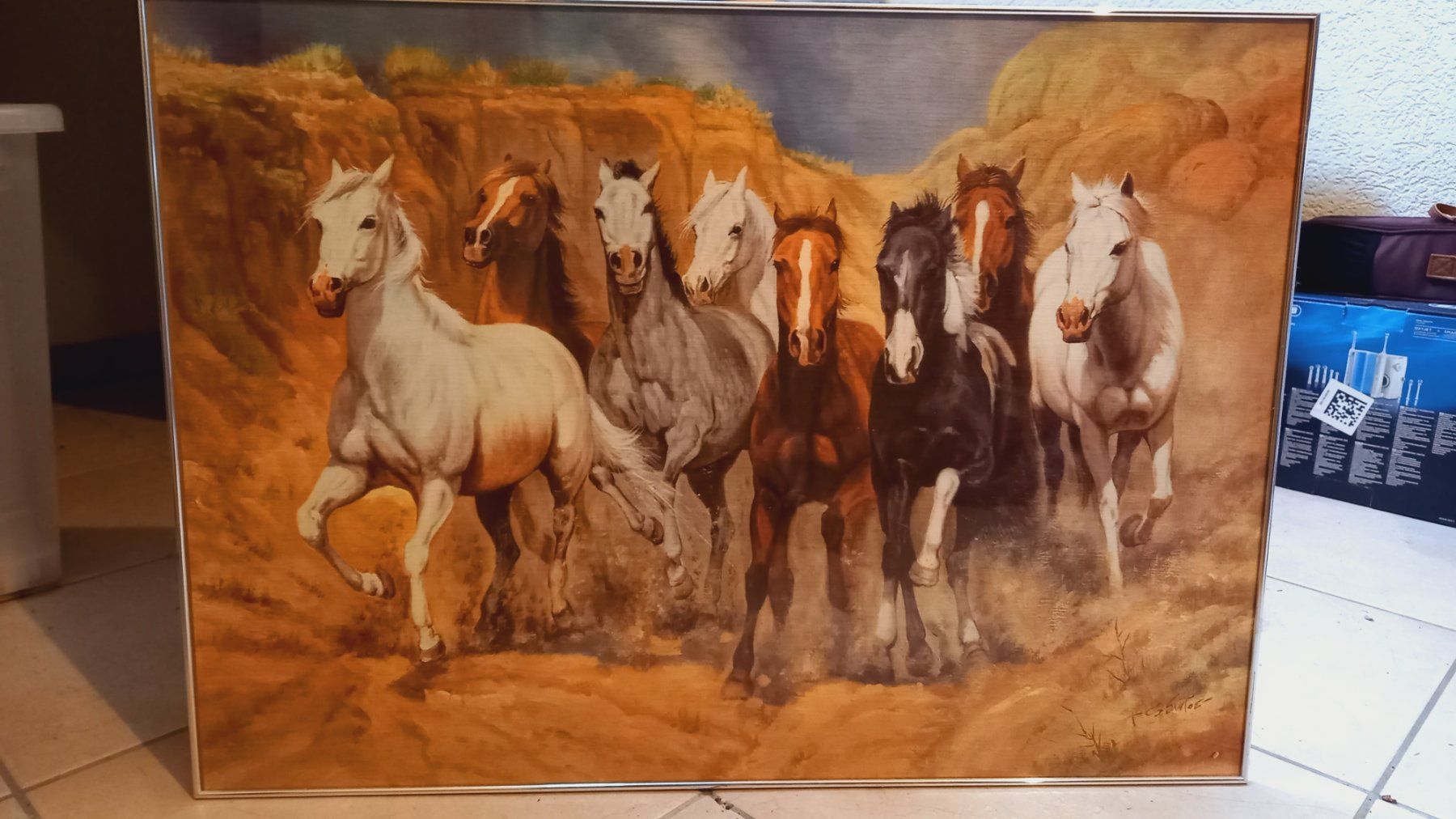 Foto & Immagini: Bild Pferde mit Rahmen 50x70cm – Usato da Brünisried venduto da san_74_bu