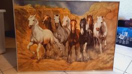 Bild Pferde mit Rahmen 50x70cm