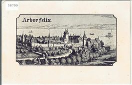 Arbon - Arborfelix