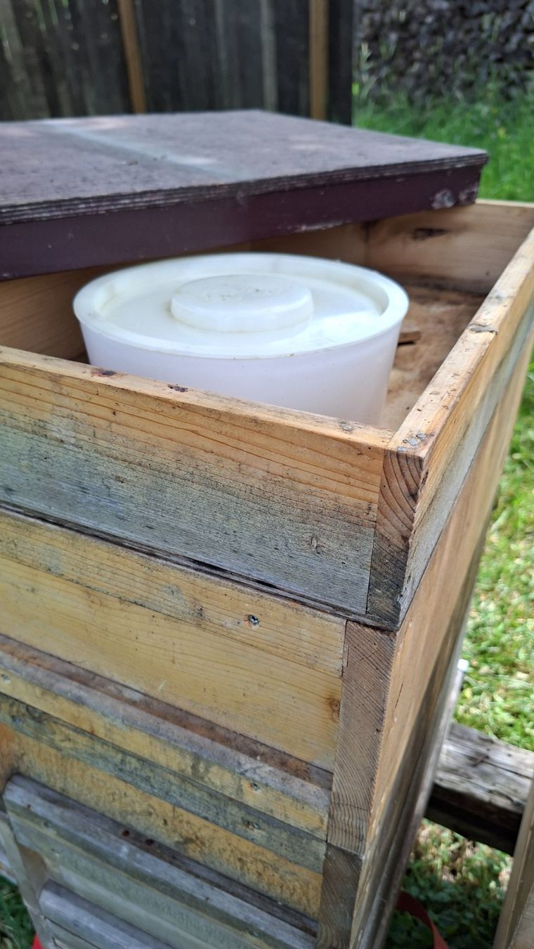 Alveari: Magazin Schweizermass mit Bienen – Usato da Gibswil venduto da Schufi2 2