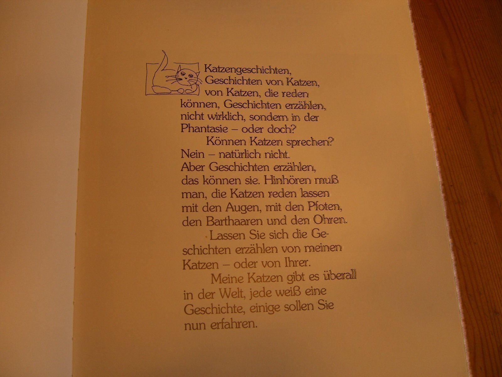 Libri: wunderschönes Katzenbuch "Katz & Co." – Nuovo (secondo la descrizione) da Winterthur venduto da Gaia 1