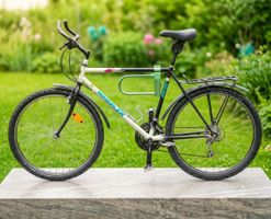 Wheeler 6690 Mountainbike Rahmengrösse 50cm, viel Zubehör