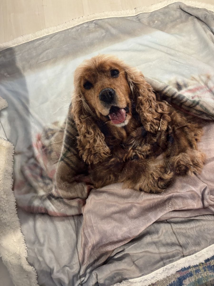 Decken: Kuscheldecke Cocker Spaniel – Neu (gemäss Beschreibung) aus Herzogenbuchsee von ameise02 1