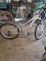 bicicletta 24"