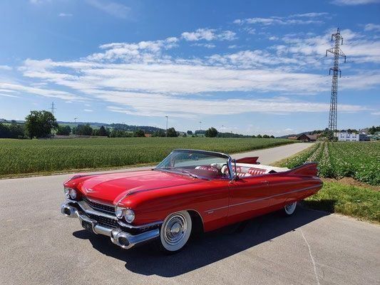 Cadillac Automobili: Cadillac 1959 Cabriolet - Mieten möglich – Usato da Cressier FR venduto da Rzmstar