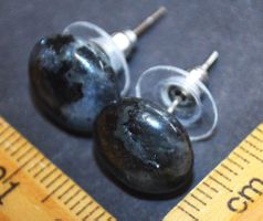 Ohrringe G-667 - Rund Flach 12x8mm – Larvikite – 1 Paar