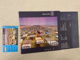 Pink Floyd LP - Momentary Lapse Of Reason❗️Plus Ticket (VG+)