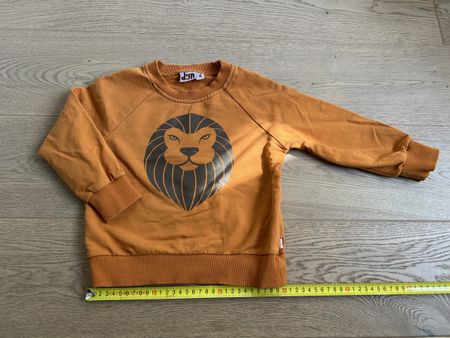 DYR Öko Tex Pulli mit Löwe🦁 Gr 4 (98)
