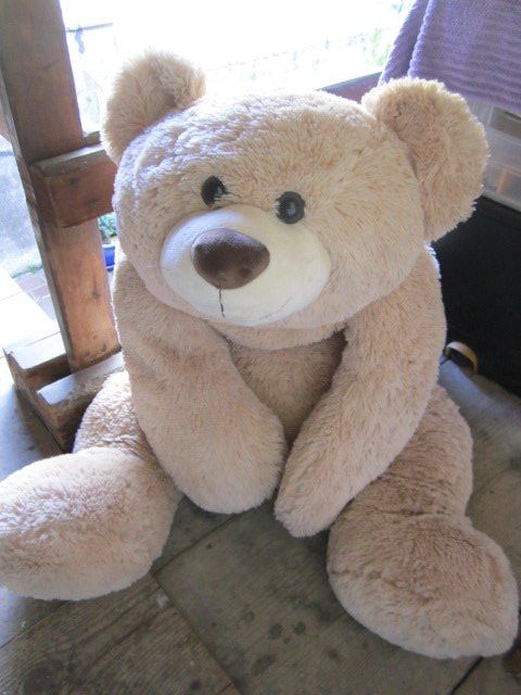 Spielzeuge: Sehr weicher großer Teddy – Gebraucht aus Eglisau von ordne