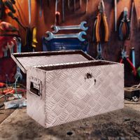 Koffer Truckbox / Aufbewahrungsbox NEU!