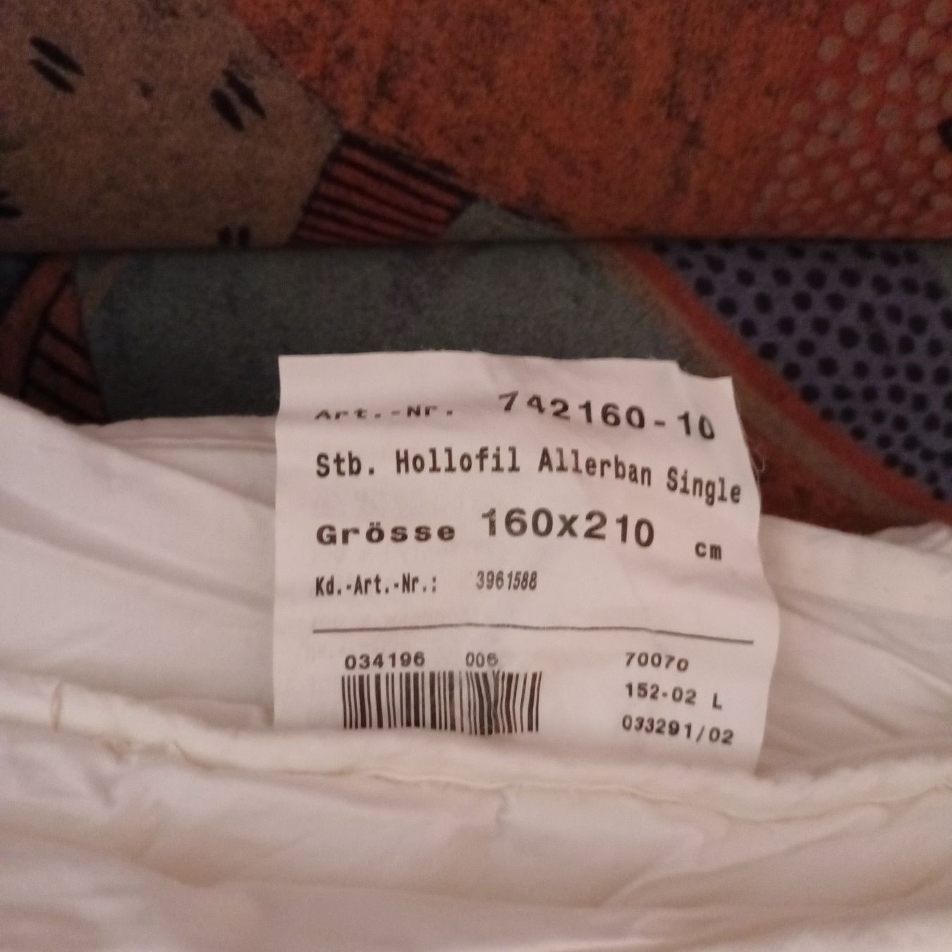 Divani: Doppelbettsofa / Schlafsofa – Usato da Bäretswil venduto da ricoric 8