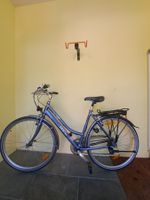Wheeler 2700 SC, Damen Citybike, frisch revidiert