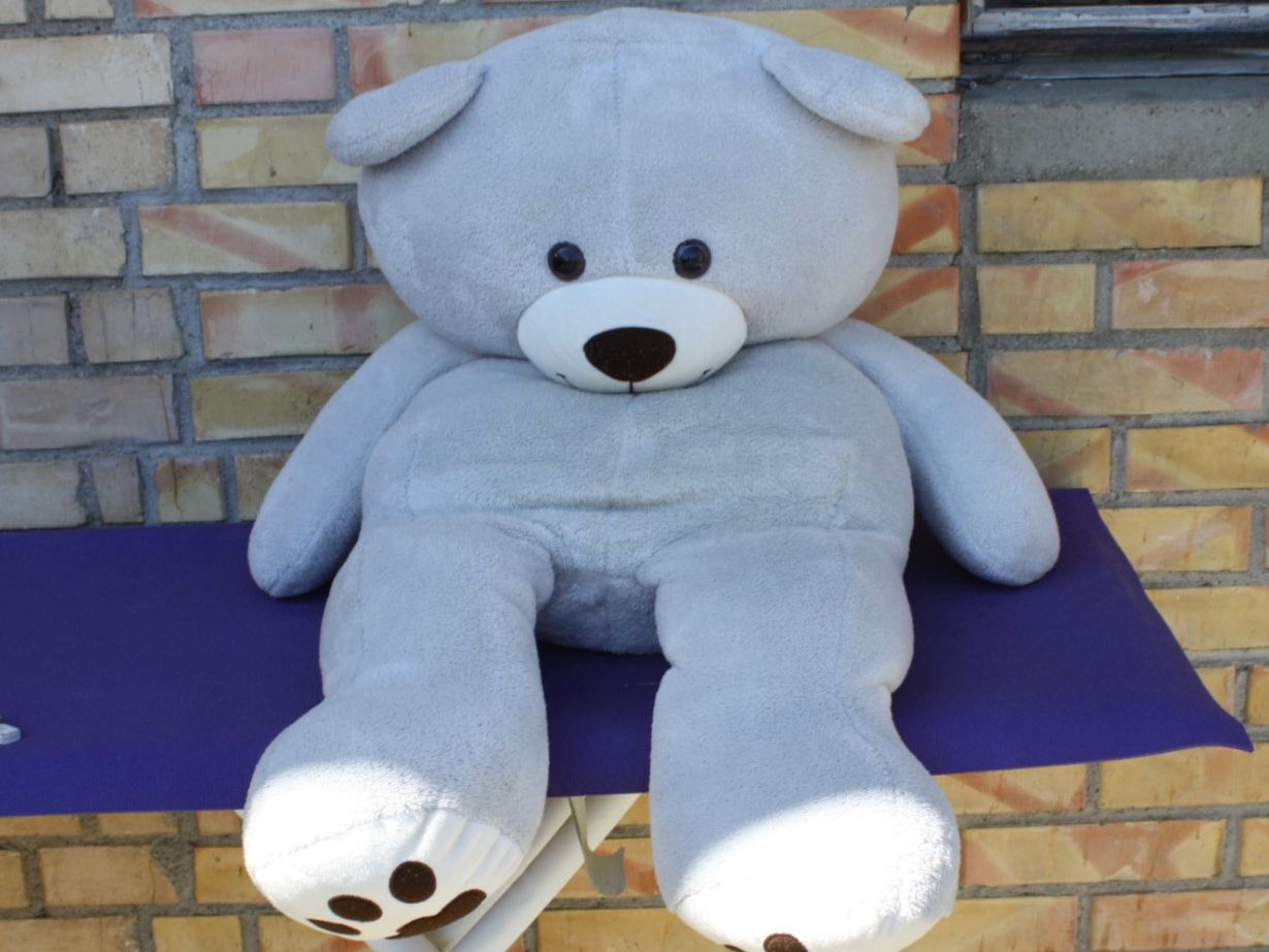 Jouets: GROSSER TEDDYBÄR PLÜSCHBÄR – D'occasion à Wauwil par Pneuedy 1