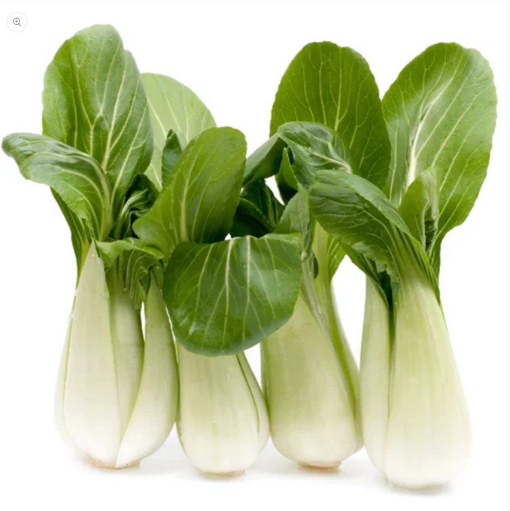 Piante & sementi: Pak Choi Kohl-Blattgemüse / 15 Samen – Nuovo (secondo la descrizione) da Hinteregg venduto da ERFOLG78