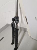 Suntour  NEX E25 28 Zoll Federgabel