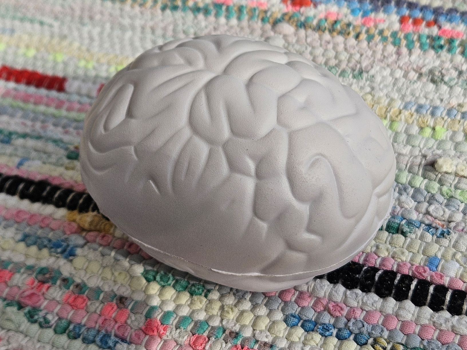 Giocattoli: Stressball Hirn / Brain – Usato da Wettingen venduto da Sk8ertomda 3