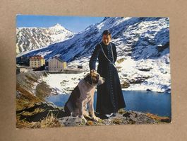 AK Grand St-Bernard Bernardinerhund Mönch