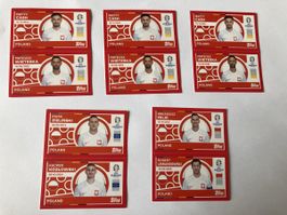 Topps Eiro 2024 Polen SET