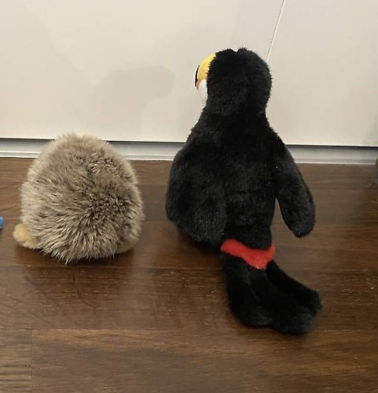 Giocattoli: Plüschtiere Igel Tukan Kuscheltier – Usato da Zürich venduto da coraruoss 1