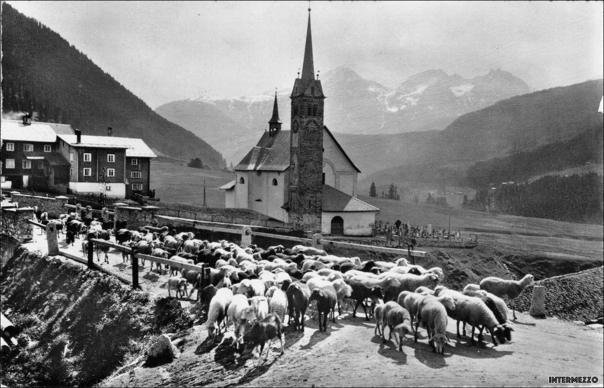 Cartoline postali: Sedrun GR // Schafherde Kirche ca. 1950 – Usato da Basel venduto da intermezzo12