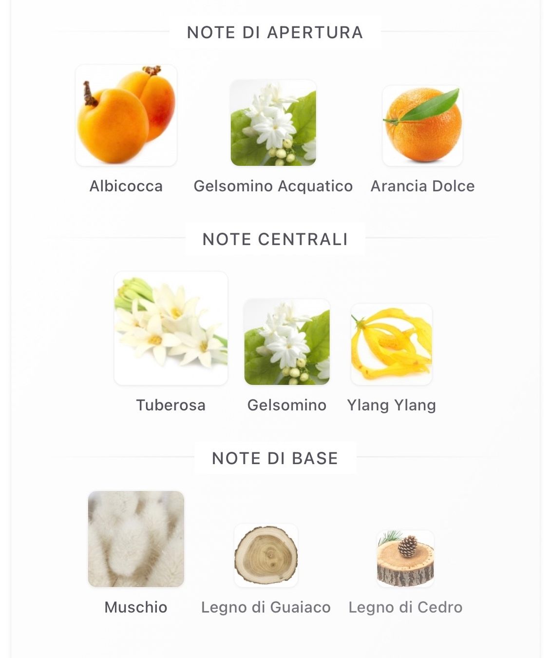 Tiziana Terenzi Profumi & Eau de Toilette: 🇮🇹 Tuberose by Giardino Benessere 12ml sample – Nuovo (secondo la descrizione) da Chêne-Bougeries venduto da Seetooyoo 2