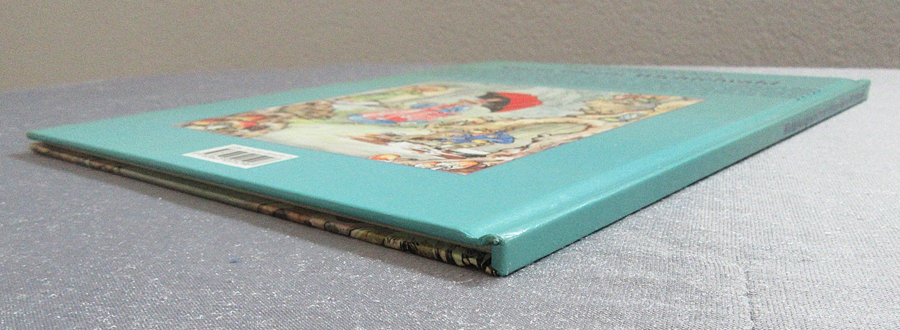 Libri: Wichtelwaldgeschichten - Sturm überm Wichtelwald – Usato da Auenstein venduto da Padabimbim 8