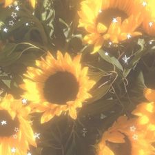 Profile image of ele_dxr2