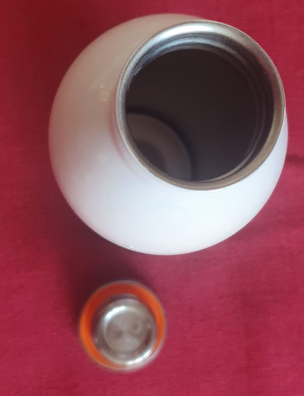 Borracce & Thermos: 24 Bottles - Daniel Esposito Santo - NEU – Usato da Auw venduto da beretta1966 4