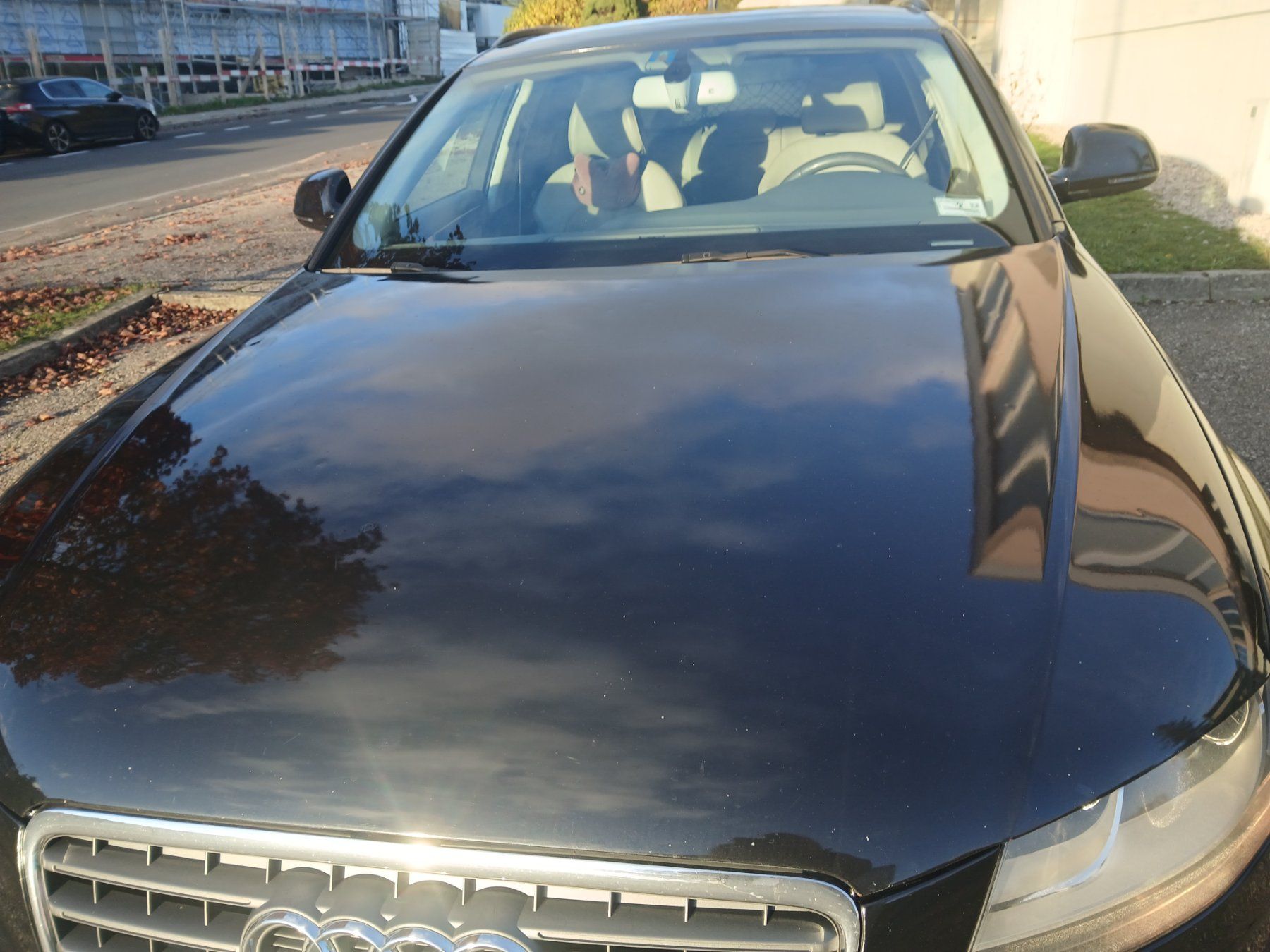 Audi Automobili: voiture – Usato da Le Locle venduto da Rian28 8