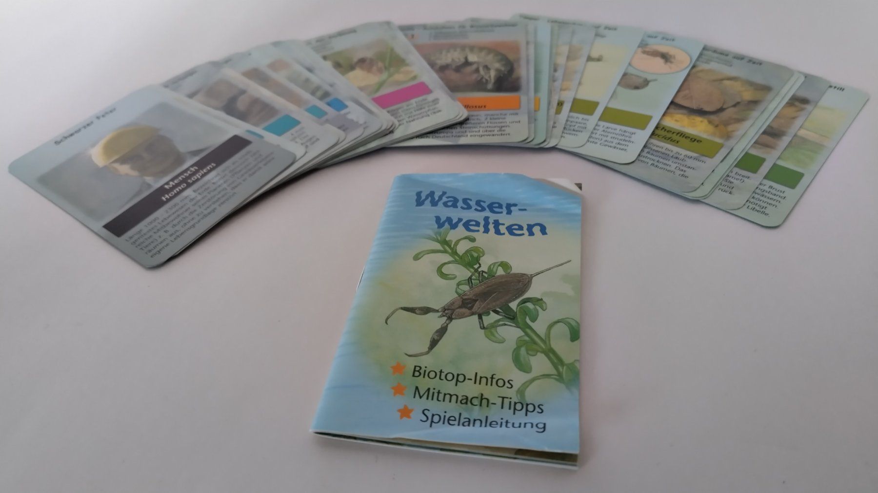 Giochi: Wasserwelten Quartett + Schwarzer Peter / Wassertiere  Heft – Usato da Bellach venduto da JingleJerry 8