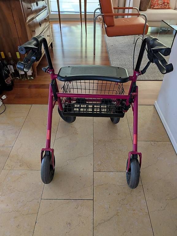 Gehhilfen: Rollator – Gebraucht aus Zürich von McFlurry49 2