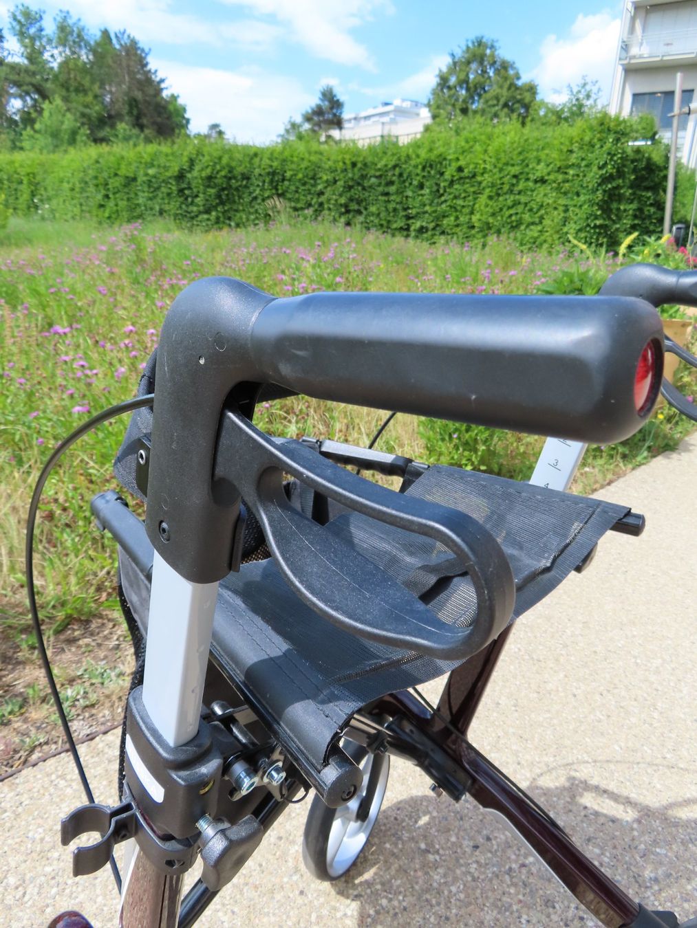 Ausili per la deambulazione: Rollator Vital Carbon – Usato da Reinach BL venduto da WBZ-Flohmarkt 5