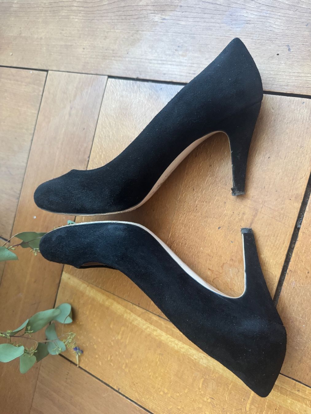 Miu Miu Scarpe da donna: Miu Miu (Prada )Wildleder Pumps Gr. 37,5 – Usato da Bern venduto da Velvetmoon 2