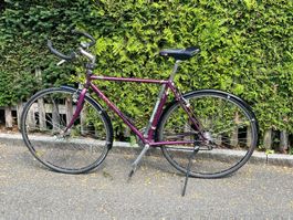 "City Cruiser" Rennvelo mit Schutzblech für Alltagsbetrieb
